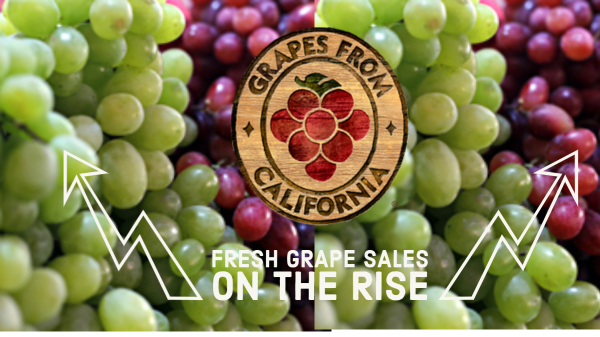 California Grape Commission Header Final