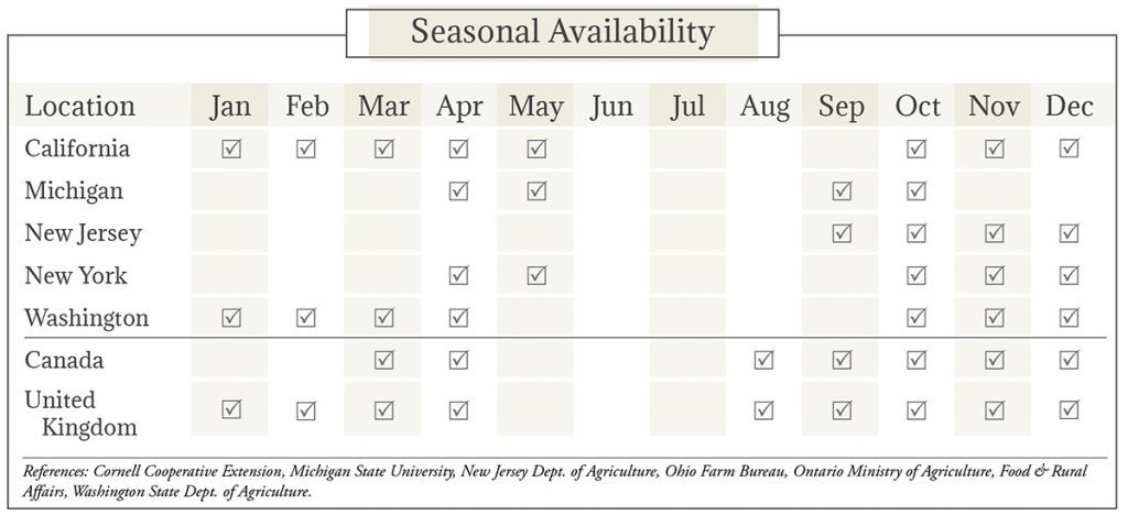 Parsnips Seasonal Availability Chart
