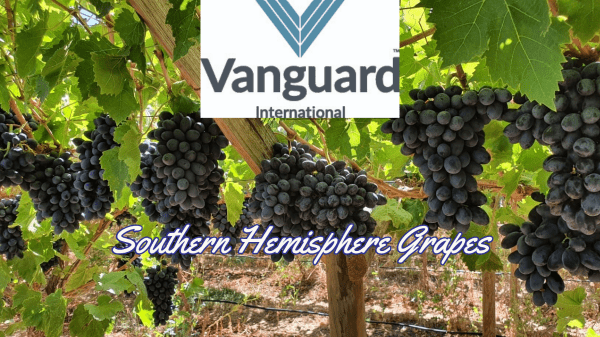 Vanguard Grapes Final Header