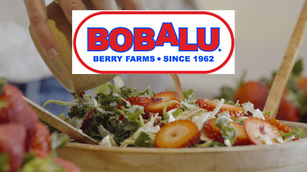 Bobalu Family Recipes Final Header