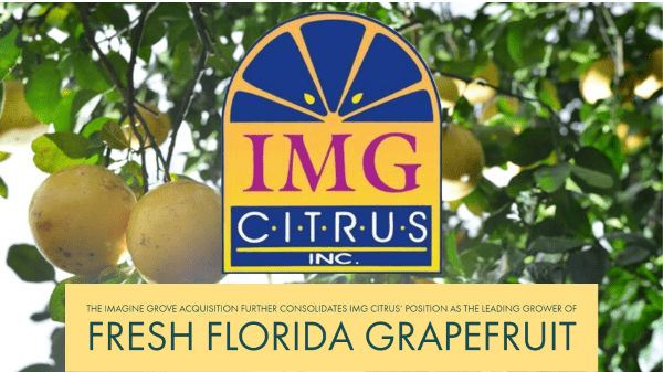 IMG Citrus Header Final
