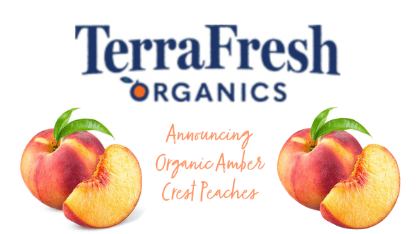 Terra Fresh Organic Peaches Header Final