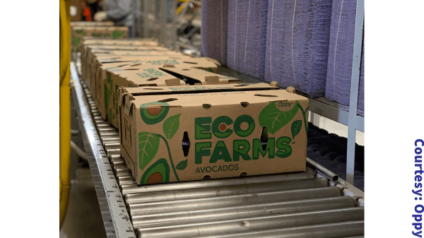 eco farms avocado box