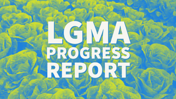lgma progess report