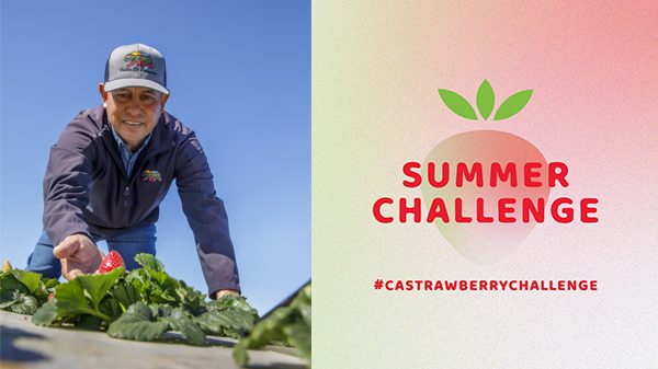 California-Strawberry-Commission-Summer-Challenge