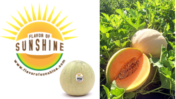 Eastern Cantalouope Growers Final Header