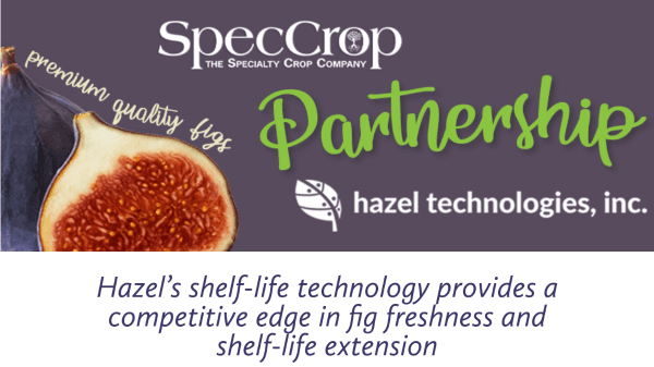 Hazel Tech- Spec Crop Final Header