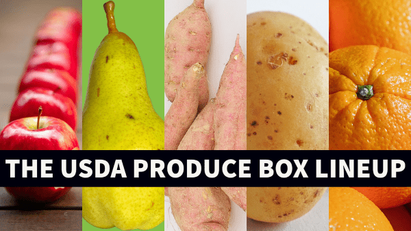 usda produce box lineup