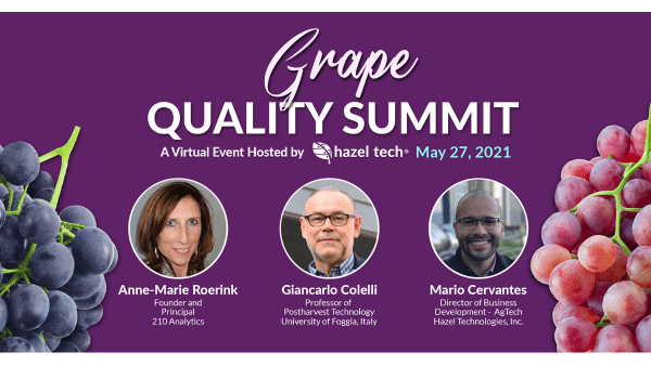 hazel grape summit