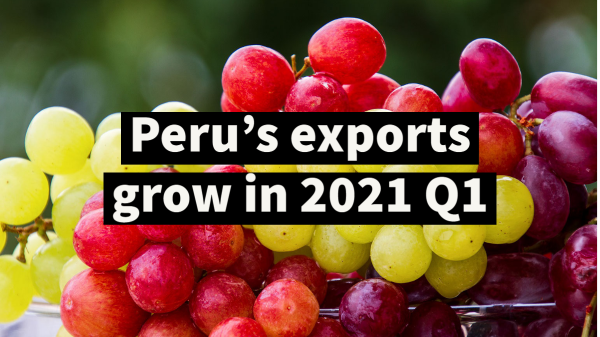 peru exports q1