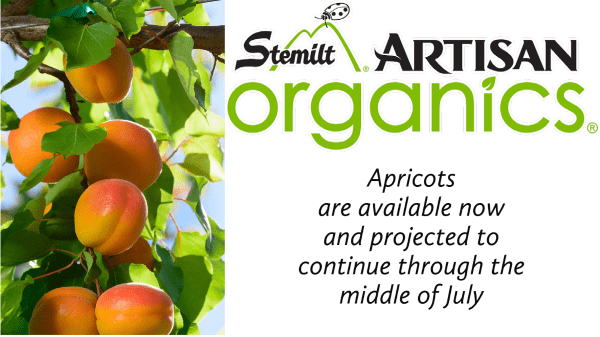 Stemilt Apricot Header Final