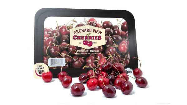 orchard view cherries