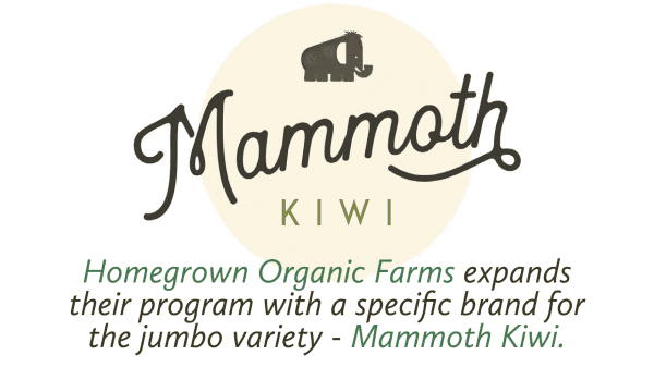 Homegrown Farm Mammoth Header Final