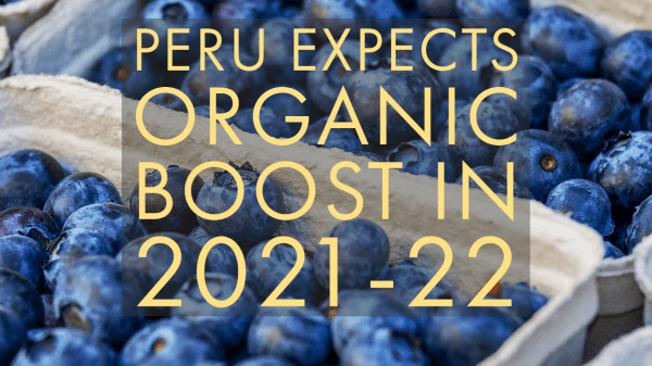 peru blueberries organic