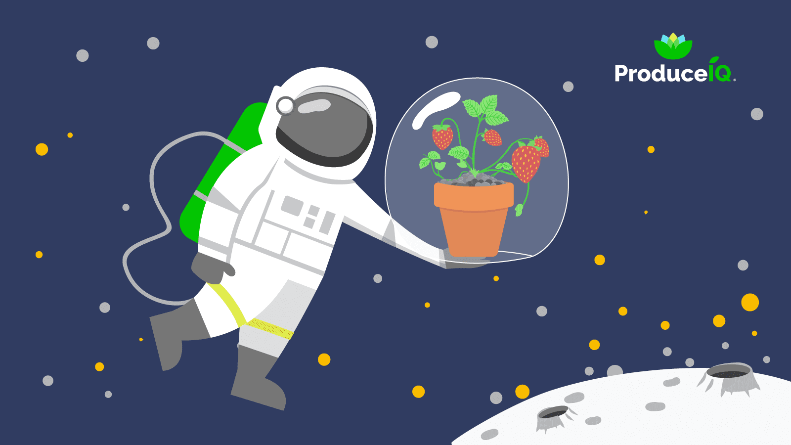 Astronaut_growingstrawberry