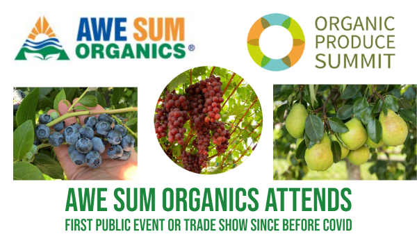 Awe Sum Organics Final Banner