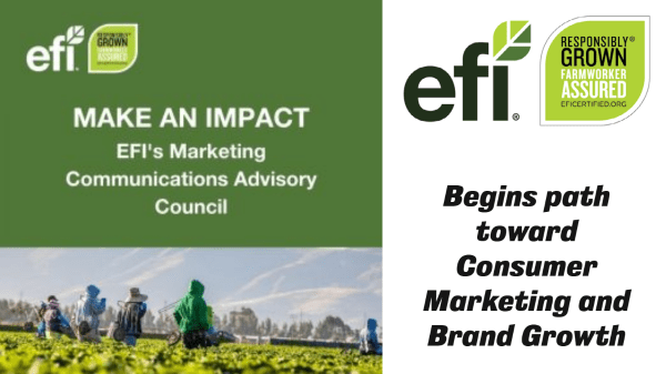 EFI- Marketing Advisory Council Banner Final