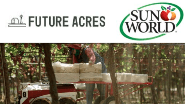 Future Acres- Sun World Final Banner