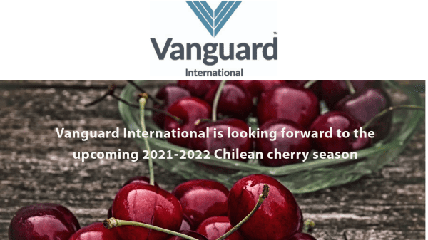 Vanguard International Final Banner