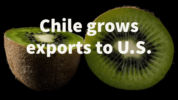 chile kiwi exports to u.s.
