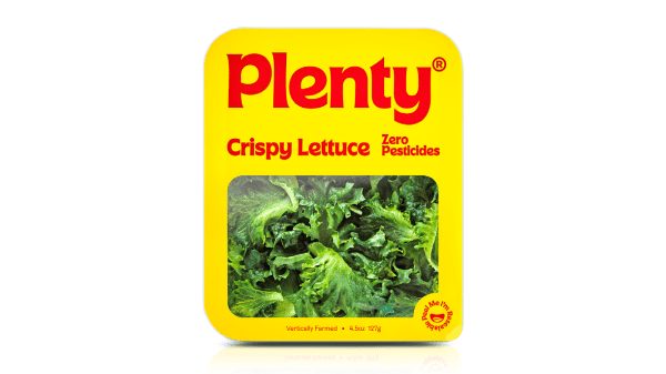 plenty crispy lettuce