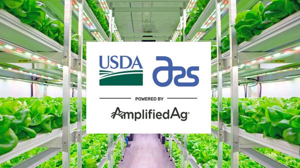 Amplified Ag- USDA final banner