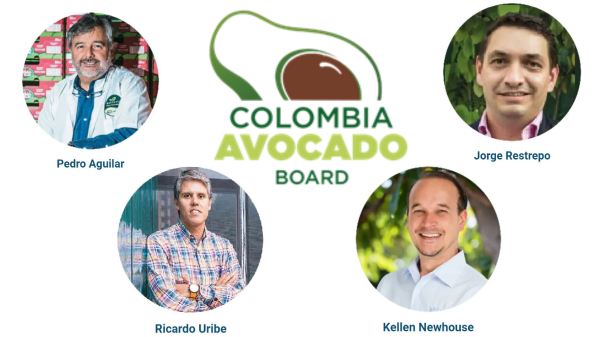 Columbia Avocado Final Banner – Board