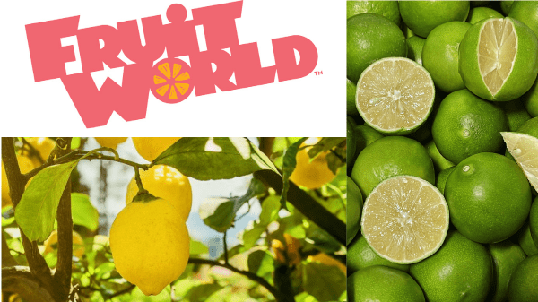 Fruit World Final Banner