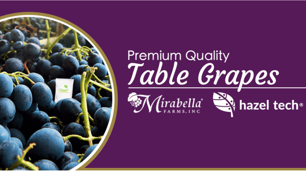 Hazel Tech – Mirabella Grape Partnership Final Banner