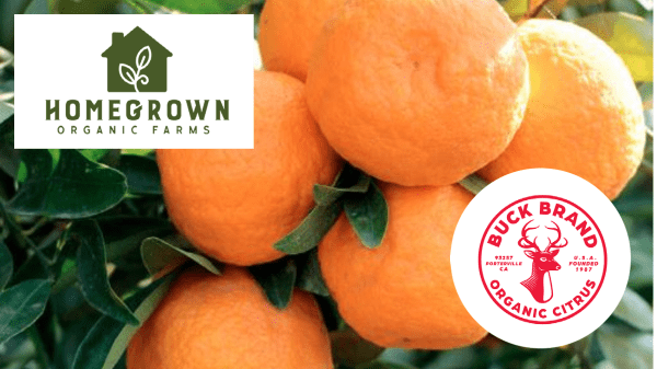 Homegrown Organic Farms- Buck Brand Final Banner