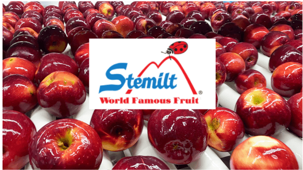 Stemilt shows Cosmic Crisp apples had strong spring - Produce Blue Book