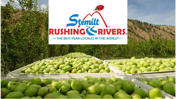 Stemilt National Pear Month Final Banner 11-21