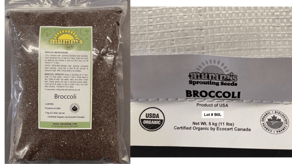 mumm’s broccoli seeds