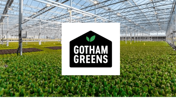 Gotham Greens Final Banner