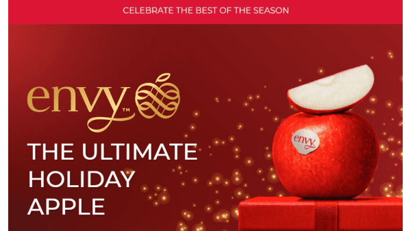 T&G - Envy Apple Best of Holiday Final Banner