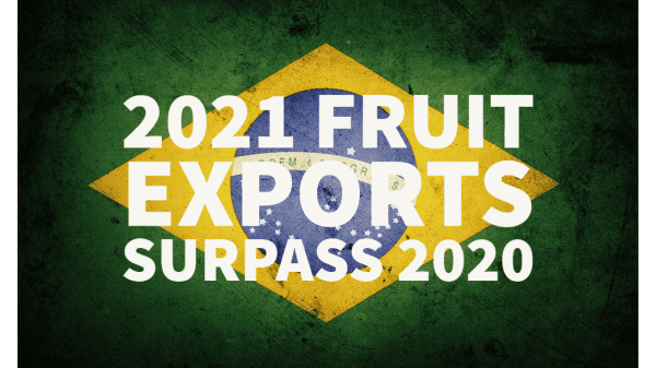 brazil fruit exports