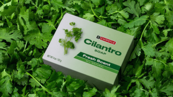 chipotle cilantro soap