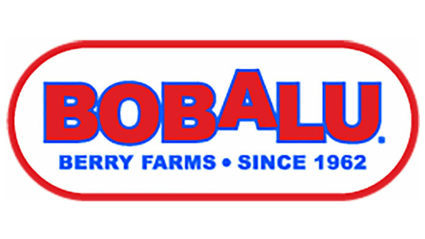 Bobalu Logo Final