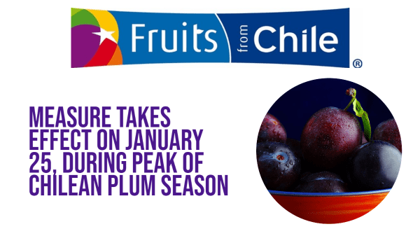 Fruits from Chile Final Plum Banner
