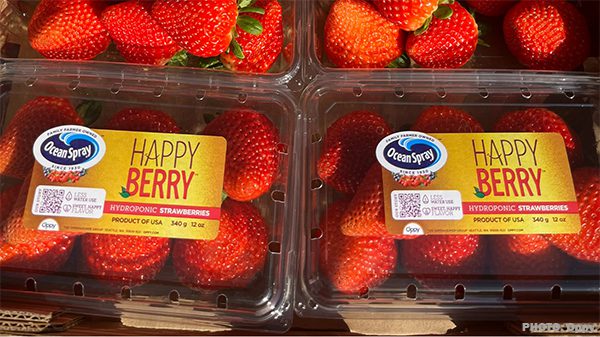Happy Berry 1 copy
