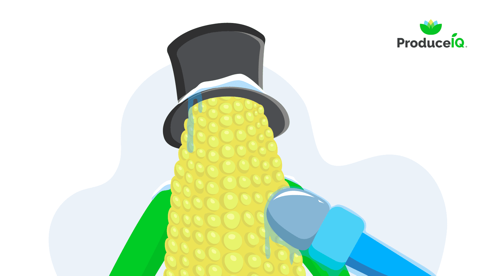 Corn_makes_weather_predictions