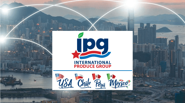 IPG Final Banner