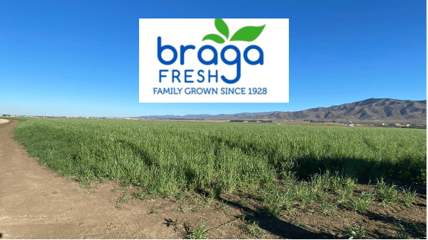 Braga Fresh- Final Banner