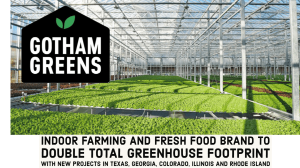 Gotham Greens Greenhouse Opens Today - Rhode Island Monthly