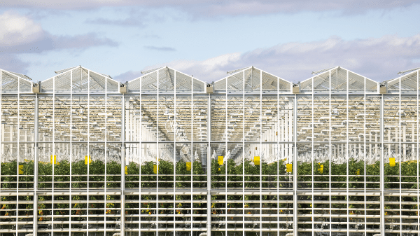 appharvest greenhouse exterior