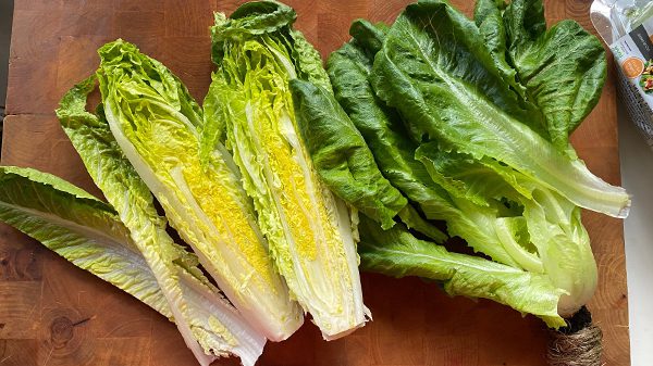 lettuce comparison-bb