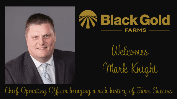 Black Gold Farms – Mark Knight Final