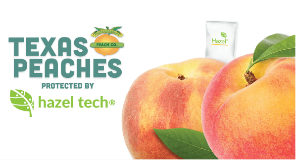 Hazel Tech – Peaches in Texas final banner