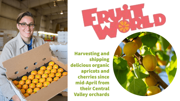 Fruit World – Final Banner Stone Fruit