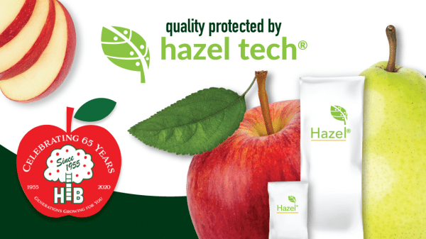 Hazel Tech – H Bros Final Banner